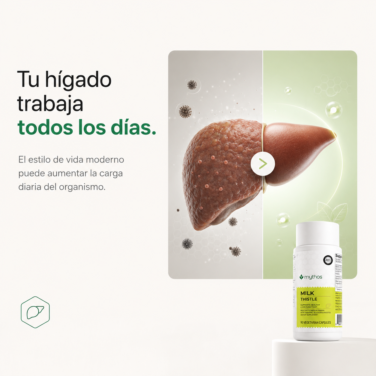 Cardo Mariano | Apoya y Protege la Salud de tu Hígado